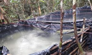 Fuerzas Armadas decomisan galones de combustible ilegal