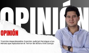 Justicia sigue a los Héroes que Aplastaron el Terror de AVC